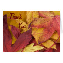 Note de Merci de feuille d'automne Carte De Vœux