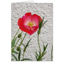 Notelet van de papaver wenskaart