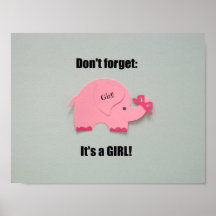 N'oubliez pas : C'est une fille ! Affiche