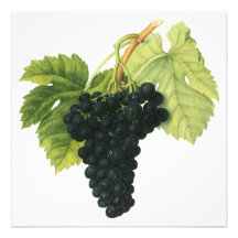 Nourriture vintage, fruit, raisins de vin rouge, f faire-part personnalisables