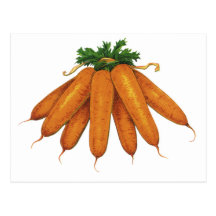 Nourriture vintage, légumes ; Groupe de carottes o Carte Postale