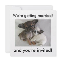 Nous nous marions ! , et vous êtes invités !