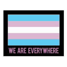 Nous sommes partout carte postale (le transsexuel)