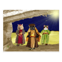 Nous trois chats cartes postales