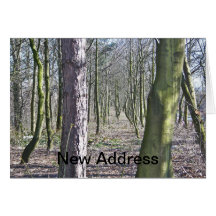 Nouvelle carte d'adresse d'arbres