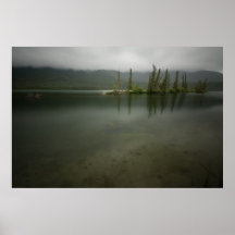 Nuances de vert posters