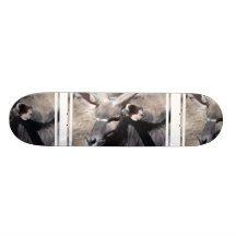 Nyala Skateboards Personnalisés