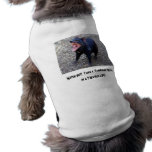 Observez !  J'étais un diable tasmanien Vêtement Pour Chien