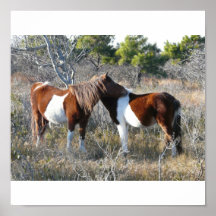 OC Assateague 11-28-2161 Afdruk