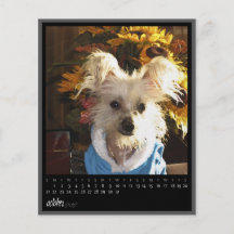 octobre 2012 calendrier prospectus