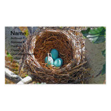 Oeufs de Robin dans un nid d'arbre de jardin Cartes De Visite Personnelles