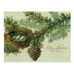 Oeufs d'oiseau de Joyeux Noël Carte Postale