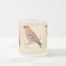 Oiseau antique de bec croisé de rose de pinson d'h tasse à café