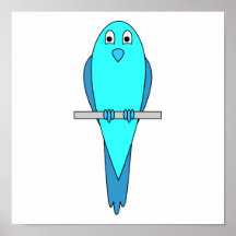 Oiseau bleu de perruche affiche