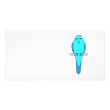 Oiseau bleu de perruche cartes avec photo