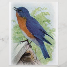Oiseau bleu prospectus avec motif