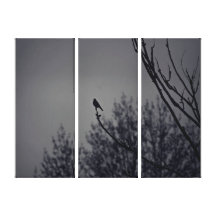 Oiseau crépusculaire toile tendue