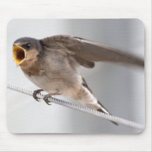 Oiseau de bébé affamé tapis de souris