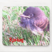 Oiseau de bébé au printemps tapis de souris