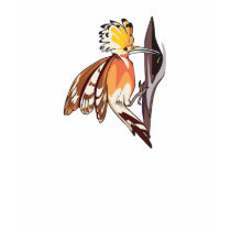 oiseau de huppe t-shirt
