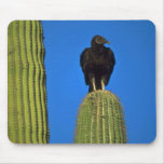 Oiseau de proie tapis de souris