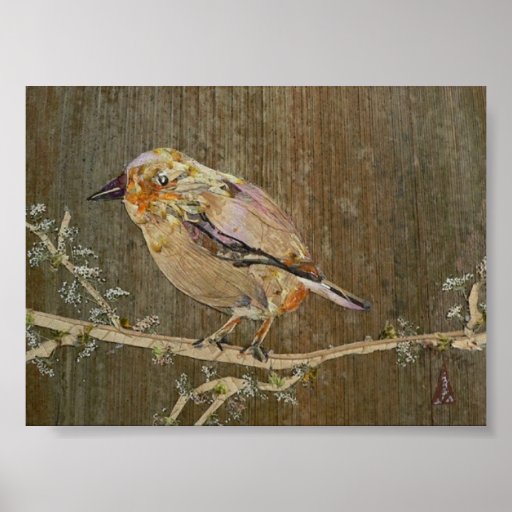 Oiseau de ville posters