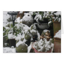 Oiseau d'hiver cartes de vœux