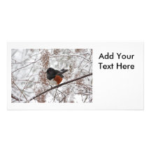 Oiseau d'hiver dans la neige photocarte customisée