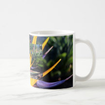 Oiseau du paradis mug à café