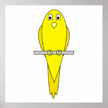 Oiseau jaune. Canari. Sur le blanc Posters