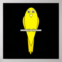 Oiseau jaune. Canari. Sur le noir Posters