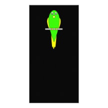 Oiseau jaune et vert. Perruche. Noir Photocarte