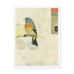 Oiseau No.1