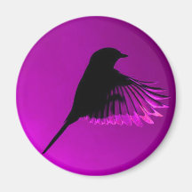 Oiseau pourpre divin aimant