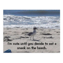 Oiseau sournois sur la plage carte postale