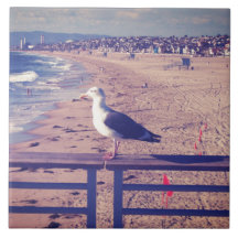 Oiseau sur un rail carreau