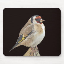 Oiseau Tapis De Souris