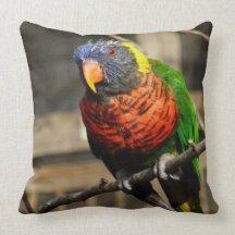 Oiseau tropical de perruche colorée de Lorikeet Oreillers
