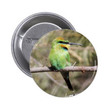 Oiseau vert badges