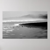 Oiseaux dans la marée B&W Poster