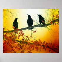Oiseaux de faune affiches