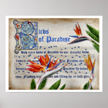 Oiseaux de manuscrit de paradis affiche
