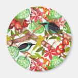 Oiseaux et aimant tropicaux de fruits