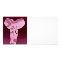 Olifant in roze foto wenskaarten
