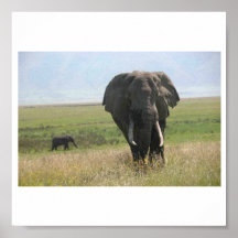 Olifant Print