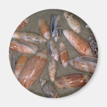 Olijven Shell Magneet