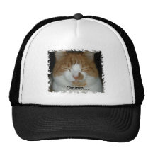Ommm… Kitty Casquettes
