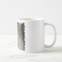 Ommm… Kitty Tasses