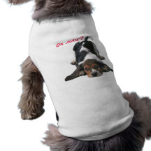 On joue ? - manteaux pour animaux domestiques