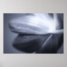 Onderaan - het Zwart-wit Poster van de Tulp